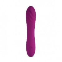 10 Speeds Rechargeable Silicone Purple Vibrator